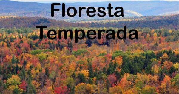 Floresta Temperada