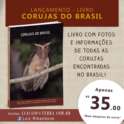 Livro - Corujas do Brasil