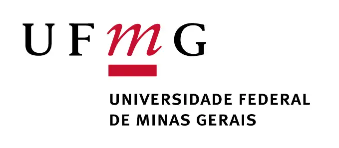 Universidade Federal de Minas Gerais 