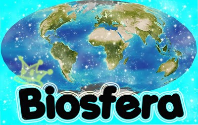 Biosfera em Geografia e Geo-Fisiologia: Principais Elementos