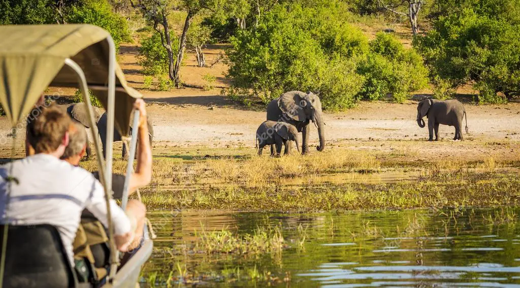 Elefante da Savana Sendo Observado por Turistas