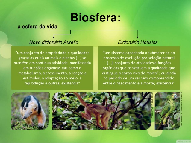 Exemplo de Biosfera