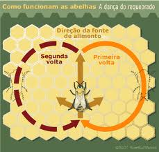 Exemplo do Ritmo da Dança das Abelhas