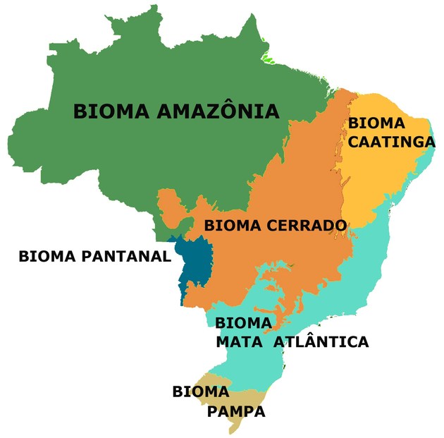 Extensão Territorial Amazônica
