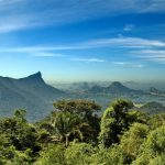 Fotos da Mata Atlântica