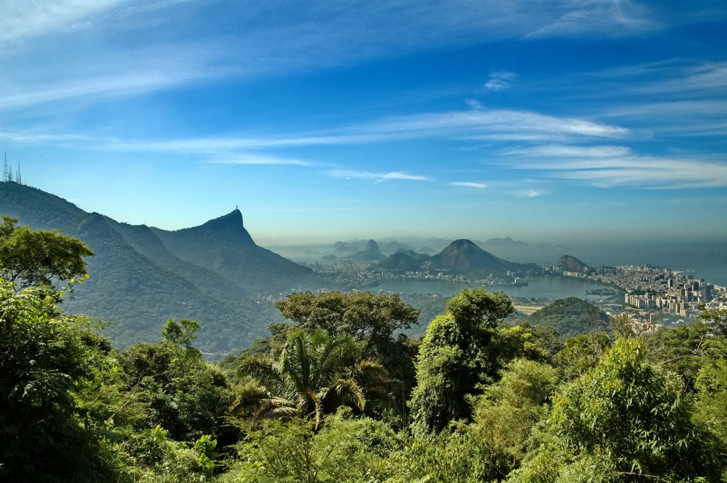 Qual o Ecossistema Típico da Região Sudeste?