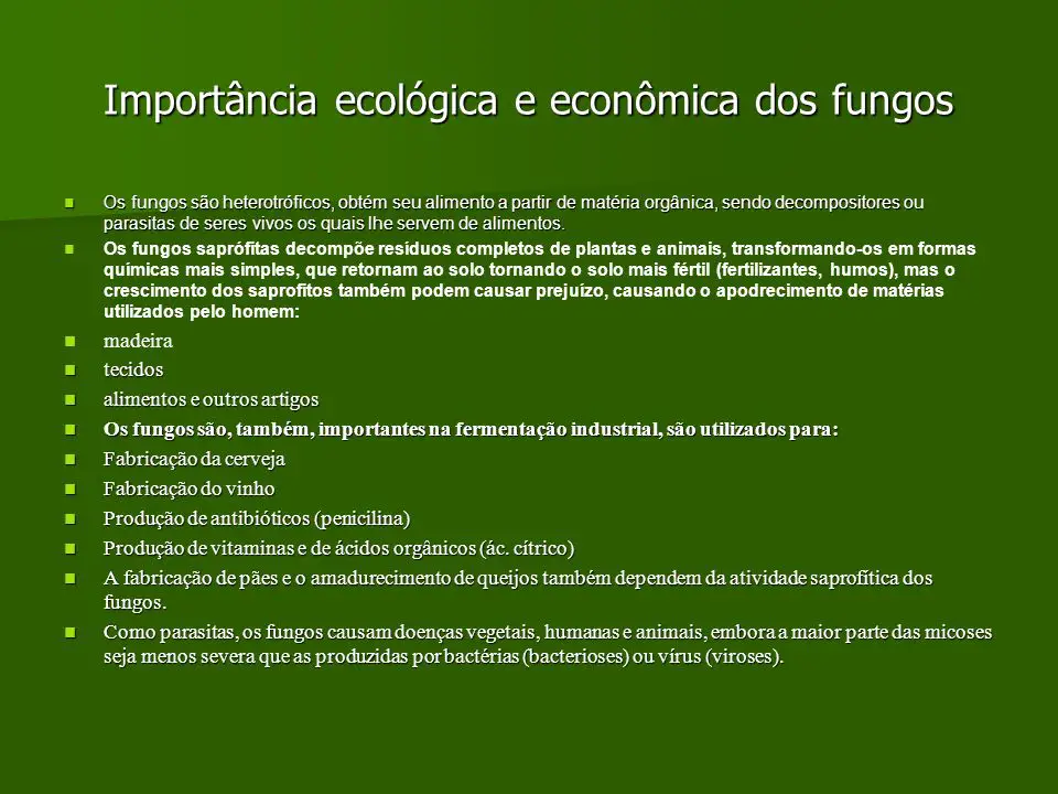 Importância dos Decompositores - Fungos 