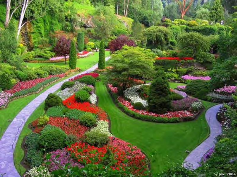 Nomes E Fotos De Plantas De Jardim