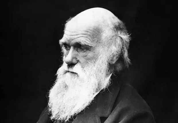 O Naturalista Inglês Charles Darwin, Autor da Teoria da Evolução 