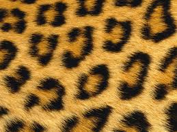 Pele de Leopardo