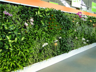 Canteiro de Flores na Parede: Passo a Passo para Paredes Verdes