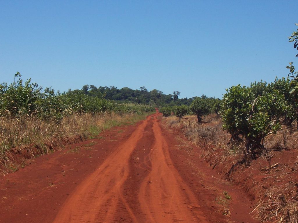 Tudo Sobre O Solo Arenoso Como Recuperálo? Por que ele existe? Mundo Ecologia Tudo Sobre O Solo Arenoso Como Recuperálo? Por que ele existe? Mundo Ecologia