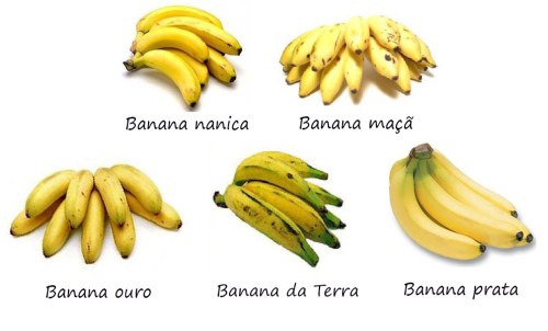 Tipos de Banana