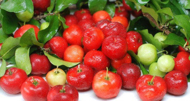 Acerola Nativa