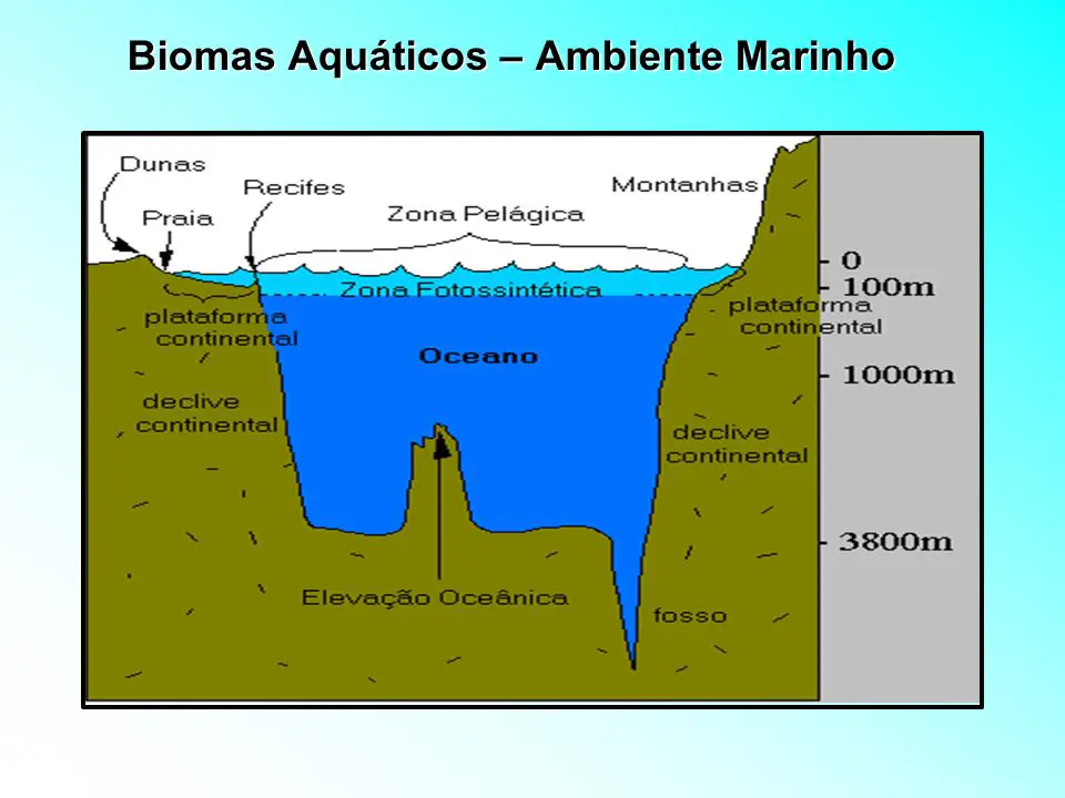 Bioma Aquático