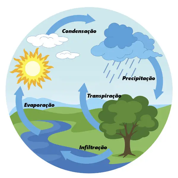 Por Que O Ciclo Da Água é Importante Na Natureza Mundo Ecologia