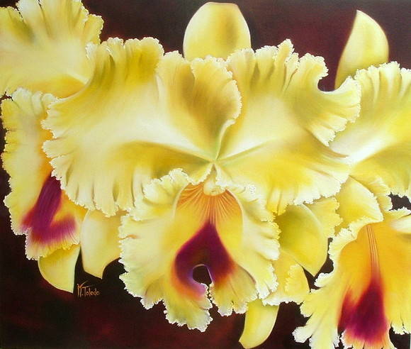 Tipos De Orquídeas Amarelas | Mundo Ecologia