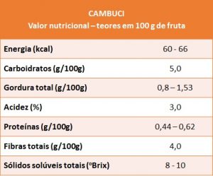 Valores Nutricionais da Pimenta Cambuci 