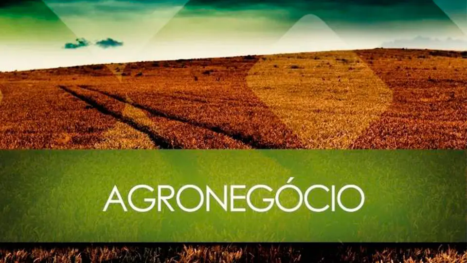 Agronegócio 