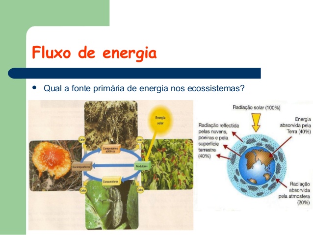 Exemplo de Fluxo de Energia