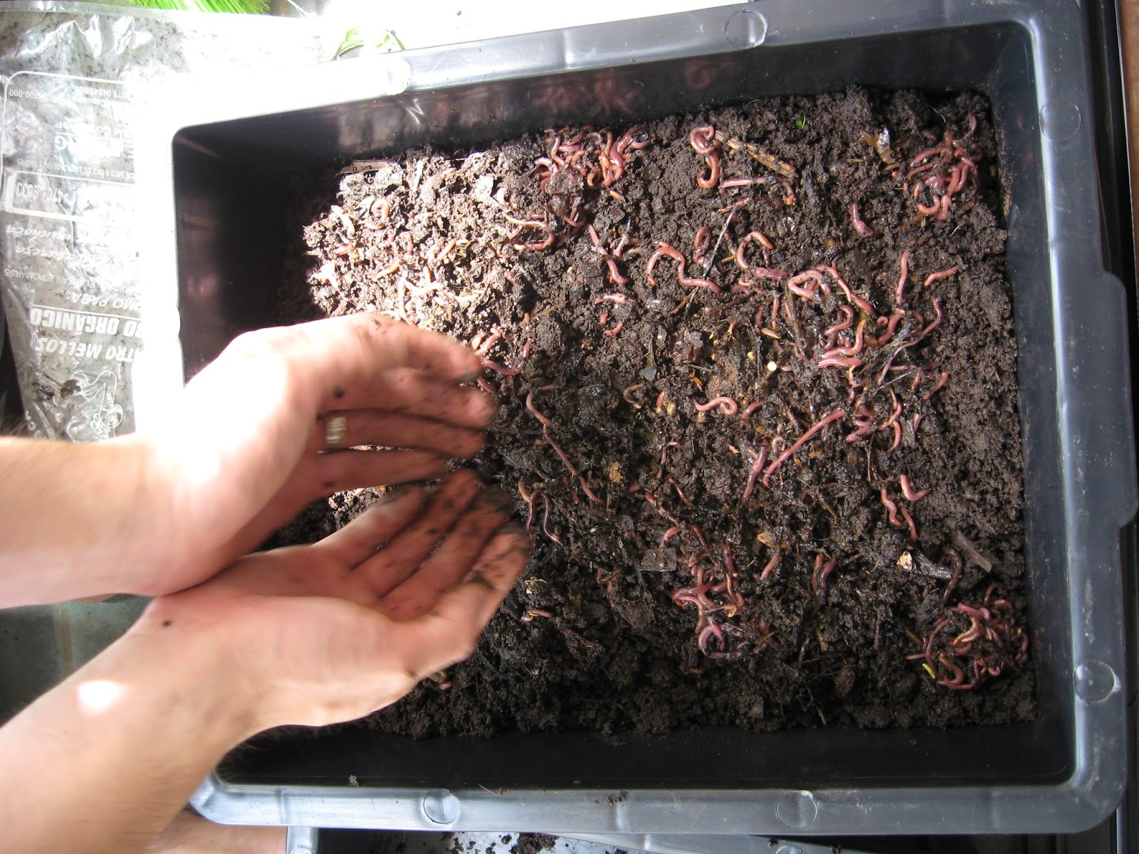 Tudo Sobre Solo Humífero – Mundo Ecologia