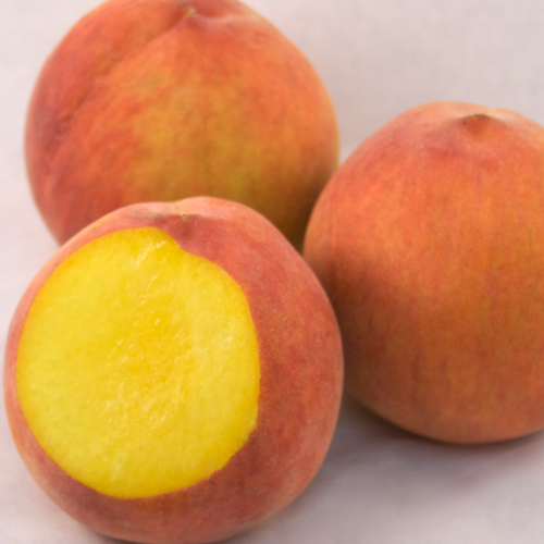 Peacharine 