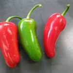 Pimenta Jalapeño