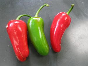 Pimenta Jalapeño