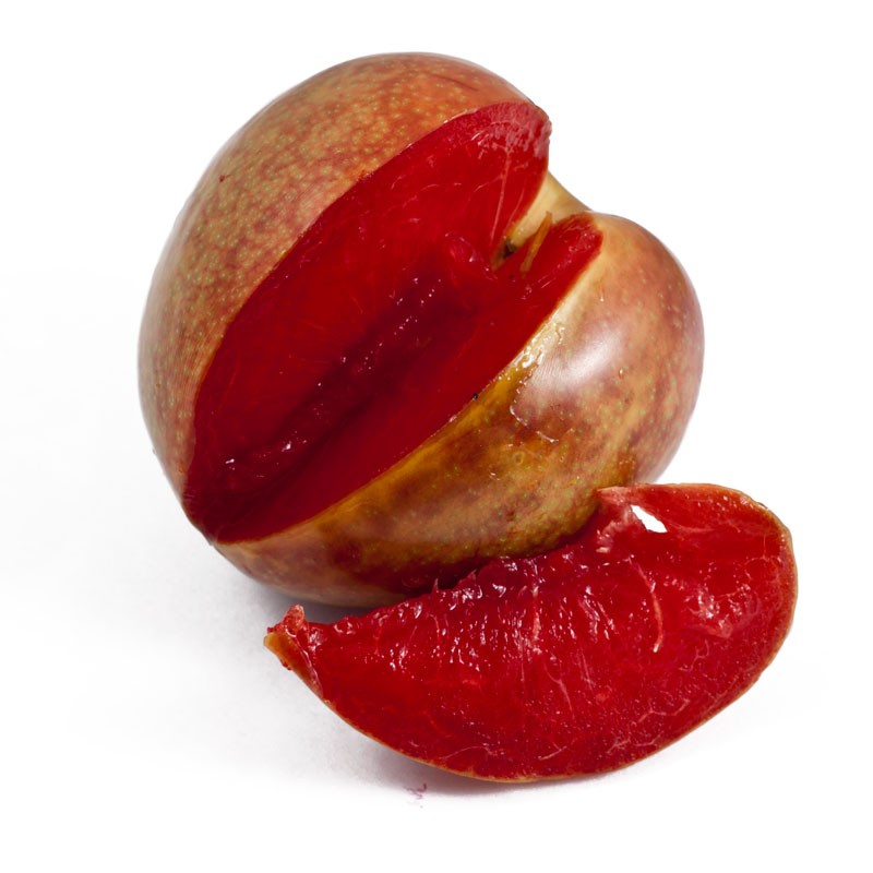 Pluot