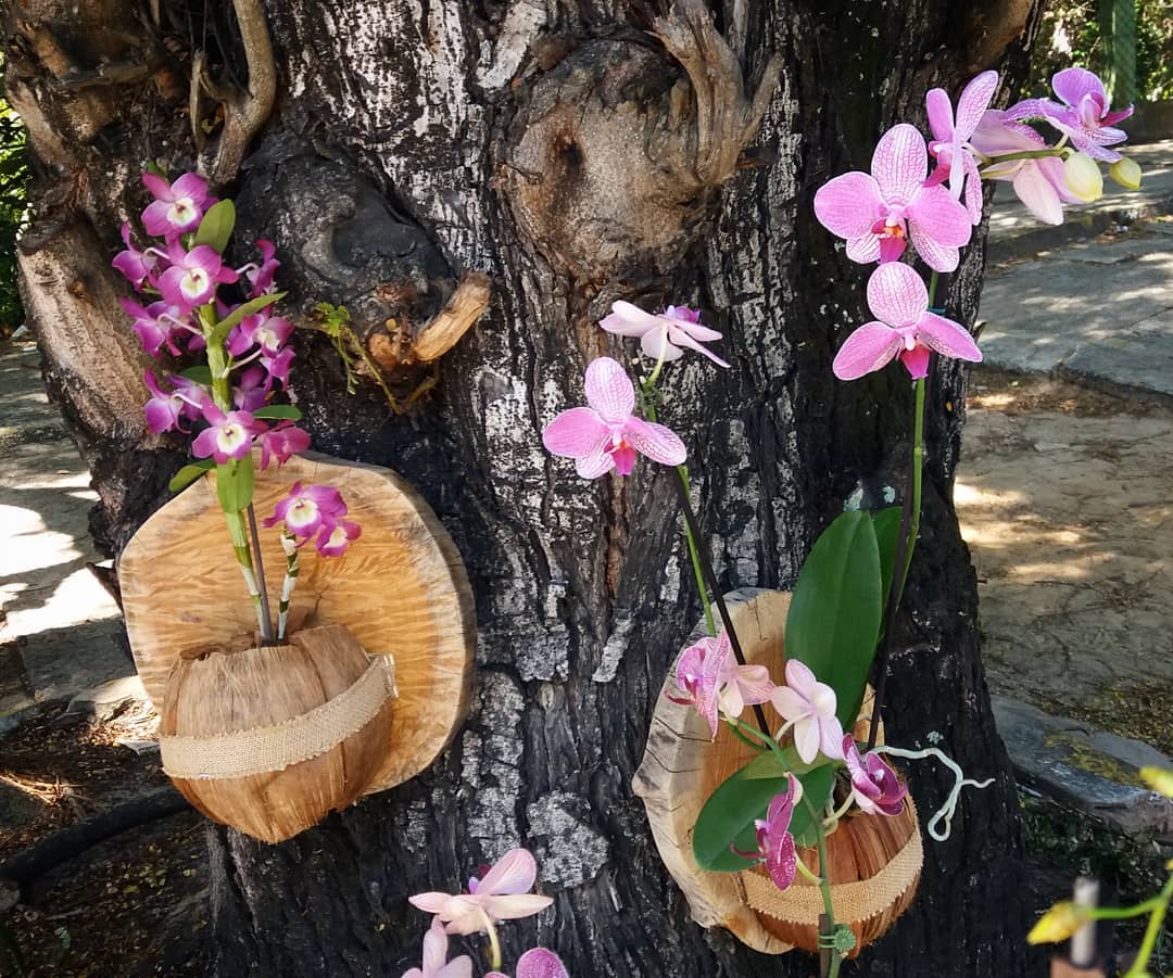 Como Fazer um Projeto de Orquidário Rústico
