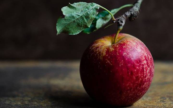 Vitaminas da Maçã, Morfologia e Classificação da Fruta
