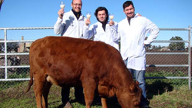 Cabras e Vacas Produzindo Leite Humano