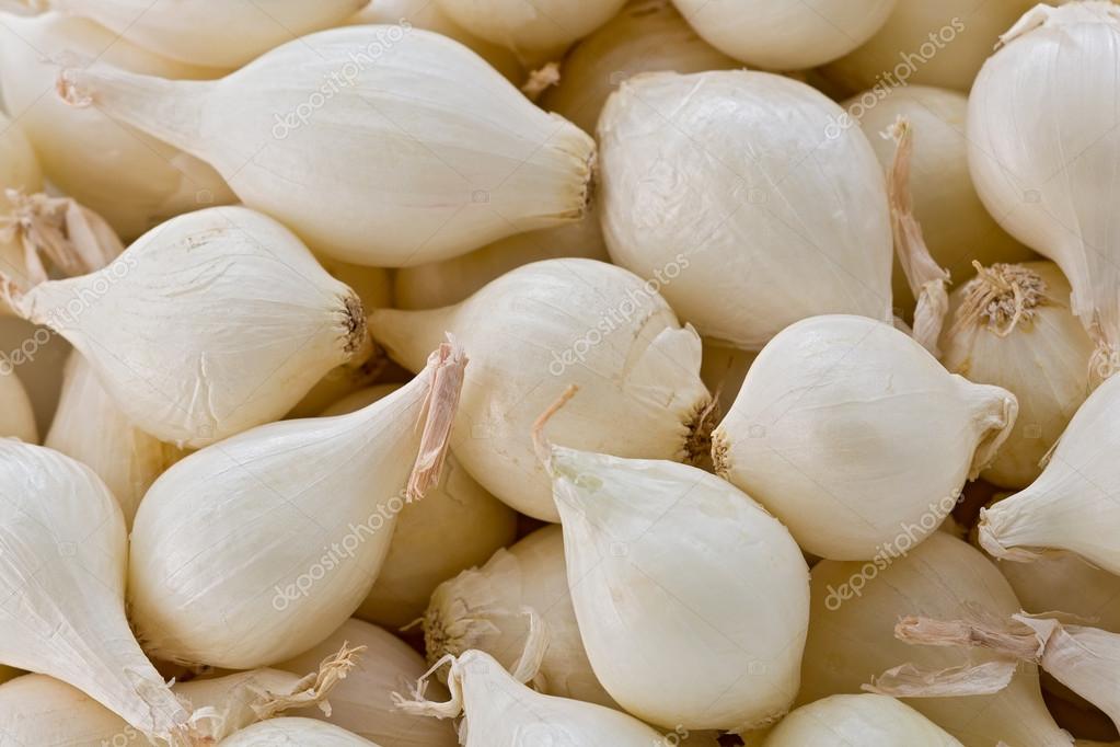 Cebolas Pérolas
