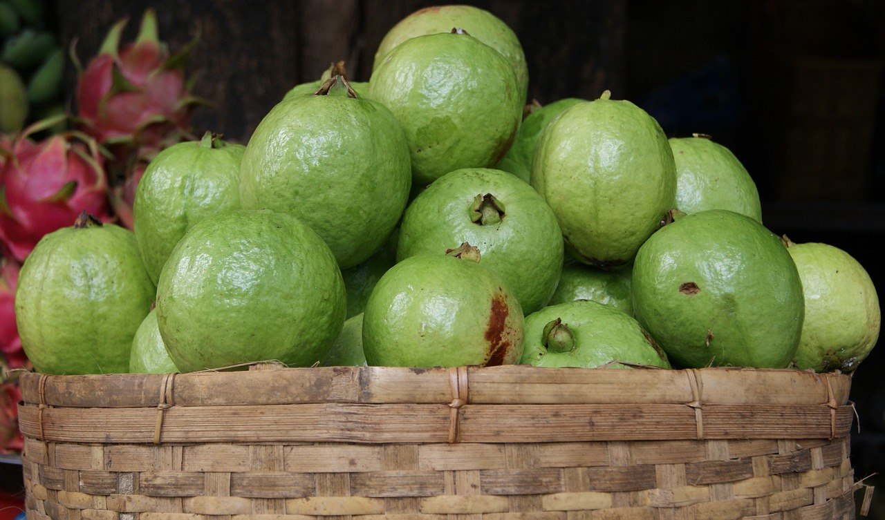 Cesta de Goiaba Tailandesa