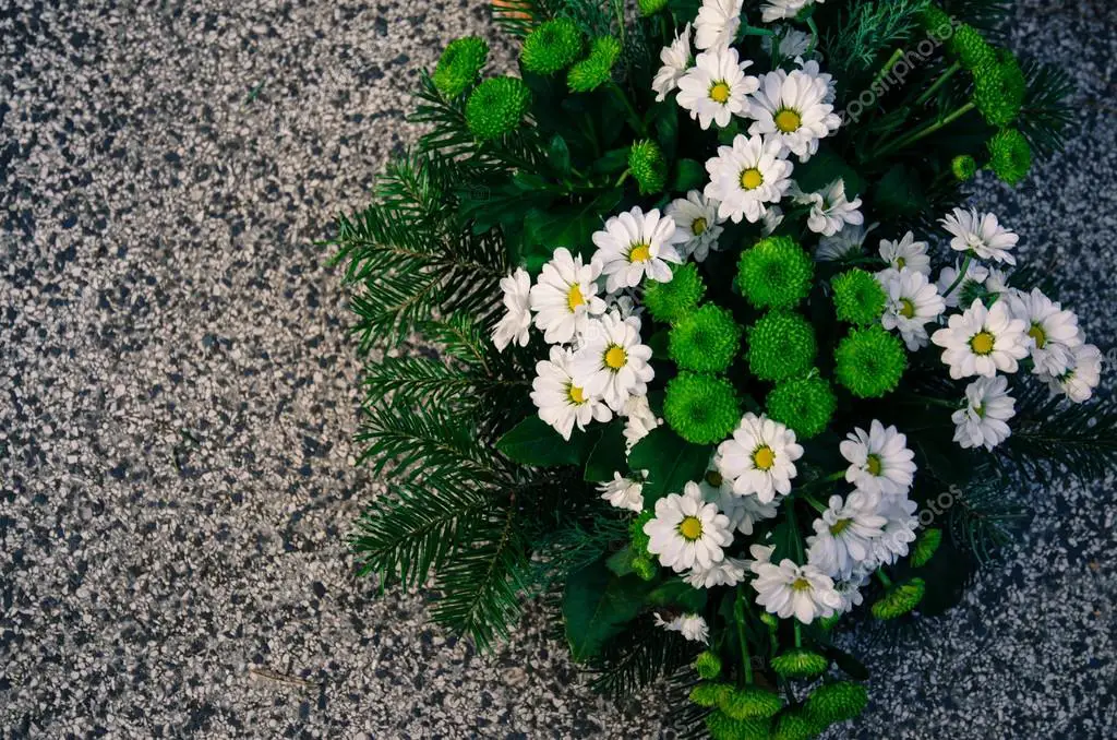 Flores de Enterro no Verão