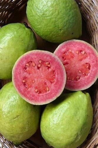 Goiaba Sassaoka: Características, Nome Científico e Fotos