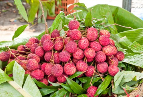 Lichias Para Consumo