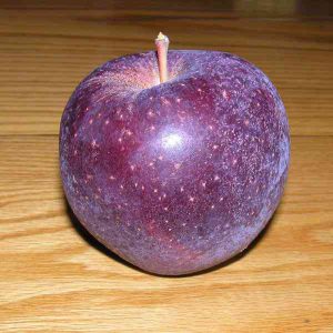 Maçã Roxa é Comestível? Mudas do Pé, Benefícios e Calorias | Mundo Ecologia