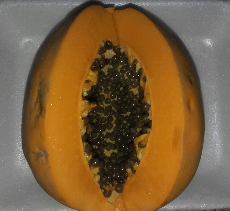 Mamão Caipira