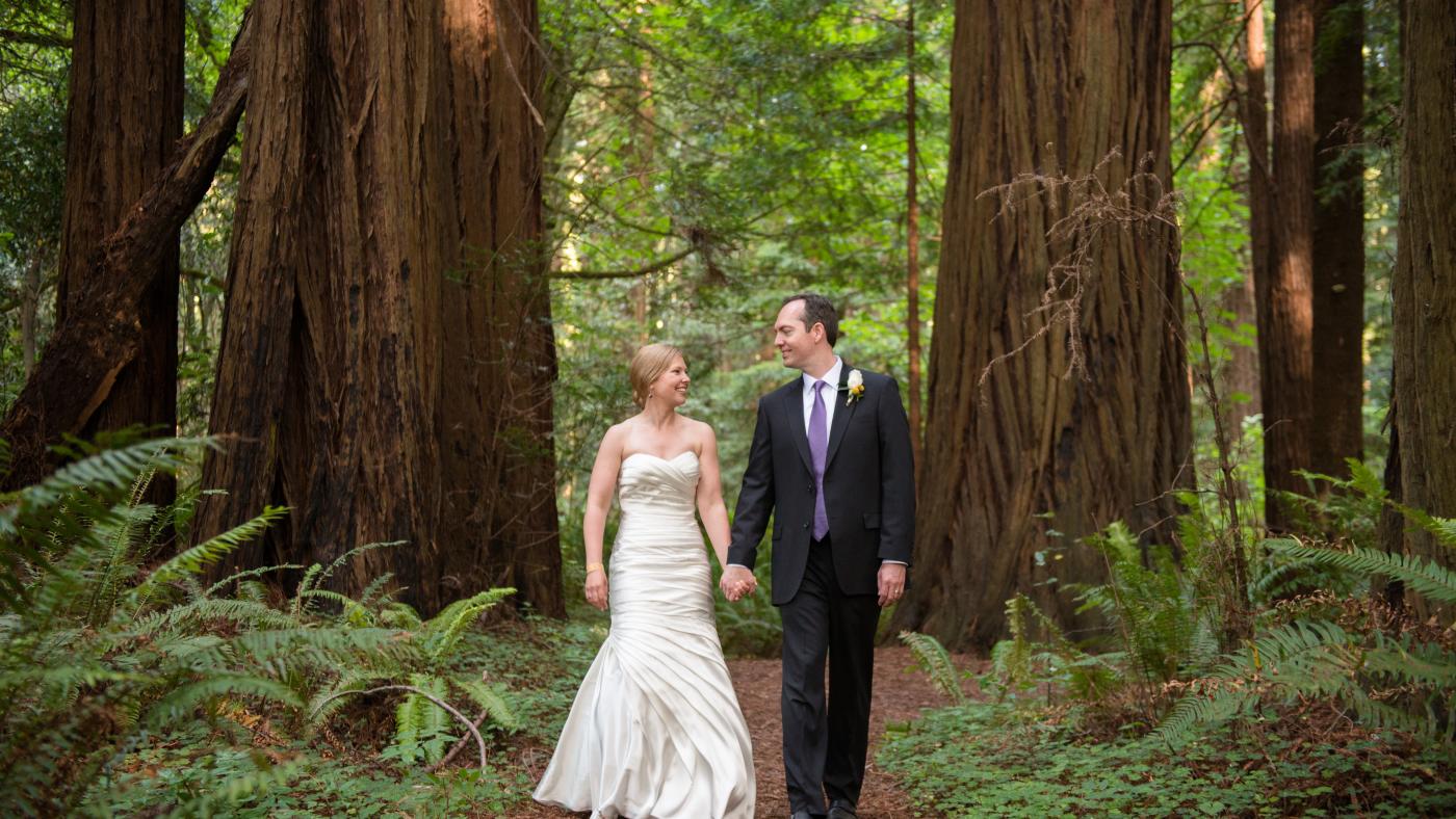 Noivos Fotografados Próximo a Uma Sequoia 