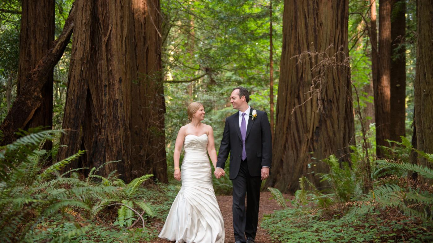 Noivos Fotografados Próximo a Uma Sequoia