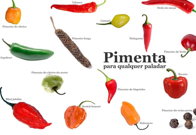 Qual a Melhor Pimenta do Brasil?