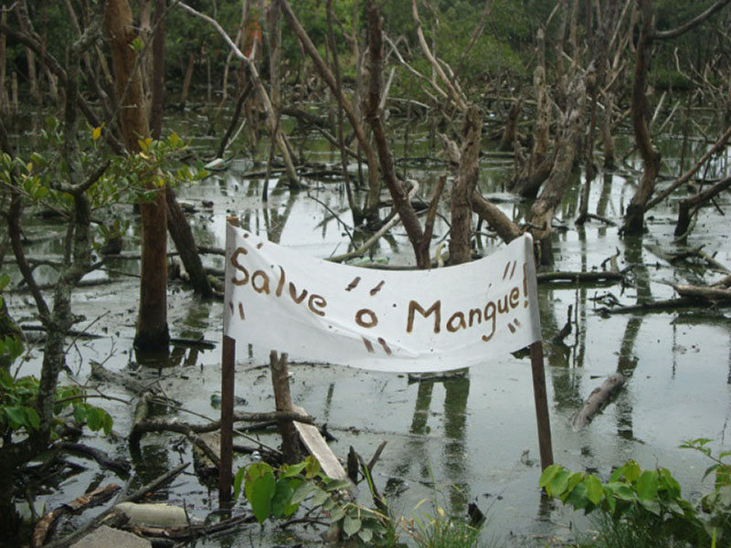 Preservação de Mangues 