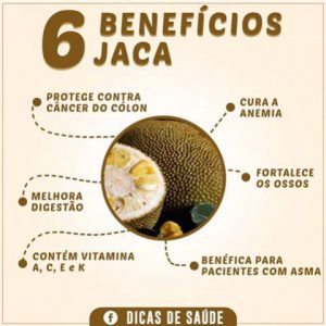 Jaca Dura: Características, Nome Cientifico, Benefícios e Fotos | Mundo ...
