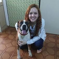 Boxer Alegre Com a Dona