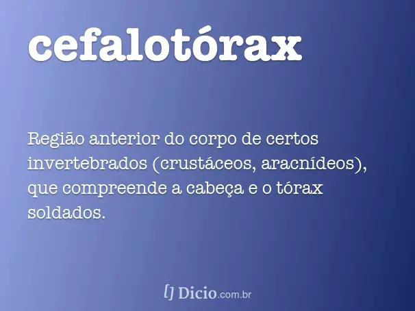 Cefalotórax