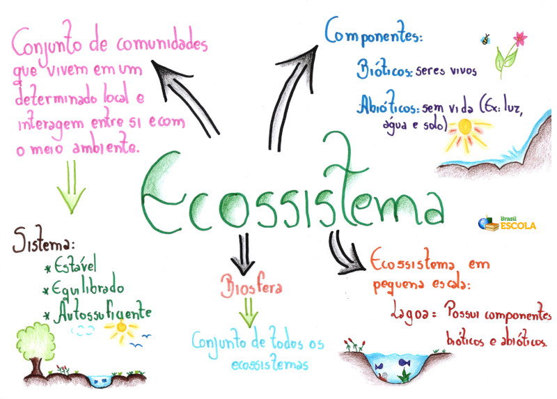 Ecossistema