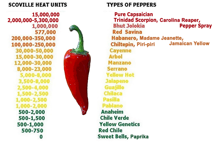 Насколько острый. Пири-Пири перец шкала Сковилла. Перец халапеньо шкала Сковилла. Перец Скорпион шкала Сковилла. Табаско шкала Сковилла.