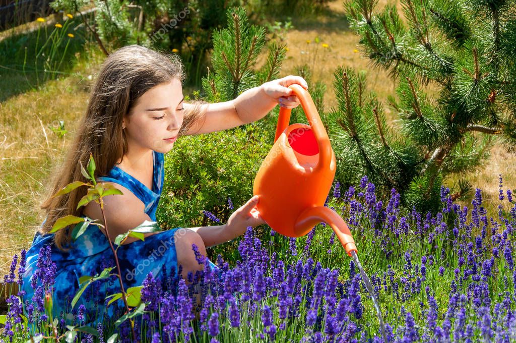 Garota Regando Seu Jardim Com Lavanda Spike 