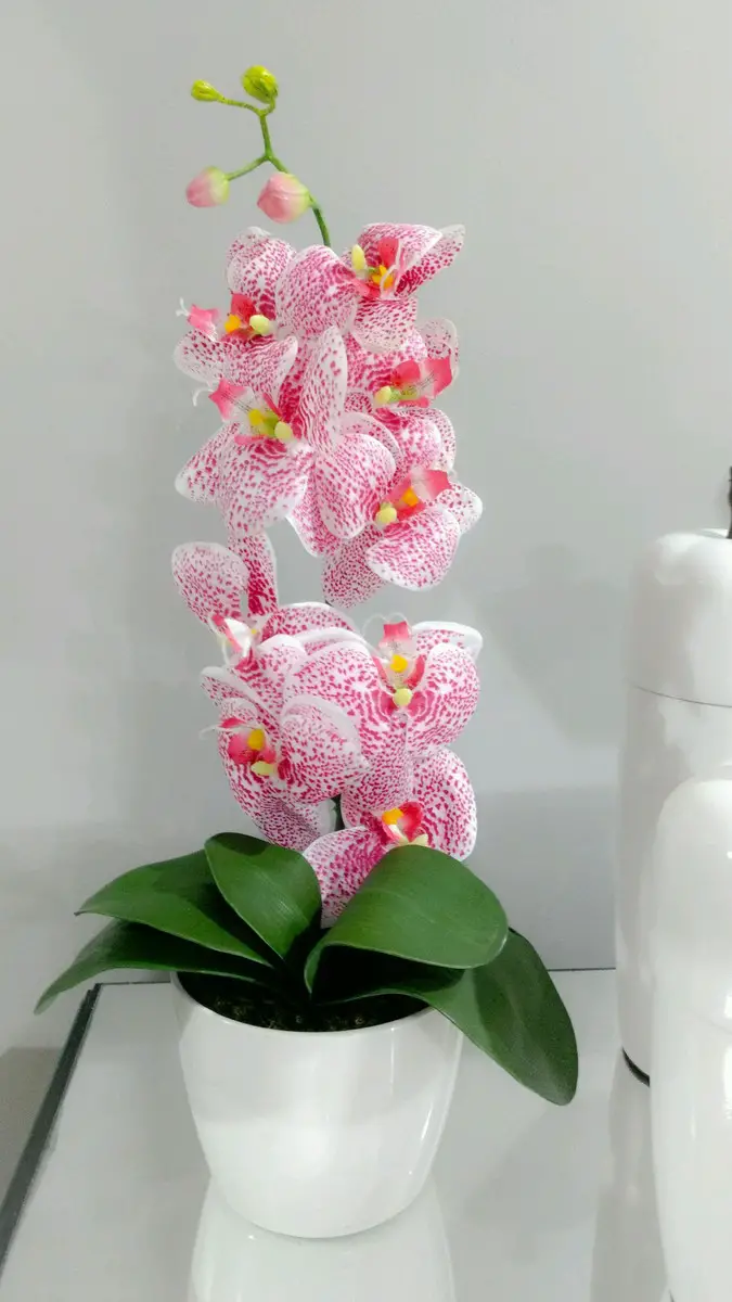 Orquídea Rosa no Vaso Branco